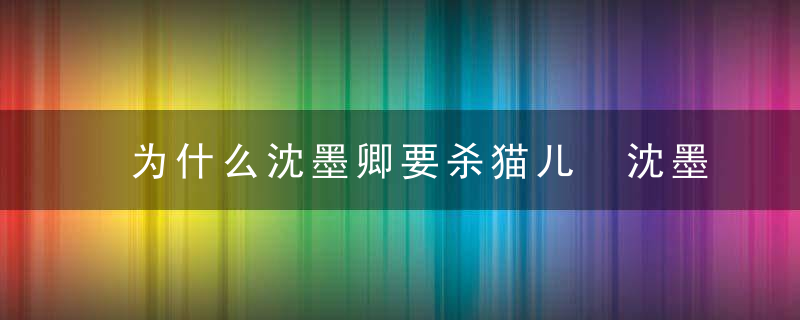 为什么沈墨卿要杀猫儿 沈墨卿要杀猫儿的原因